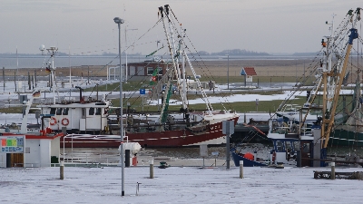 Hafen von Dornumersiel im Winter Im Winter ist ein Urlaub in Dornumersiel recht erholsam.